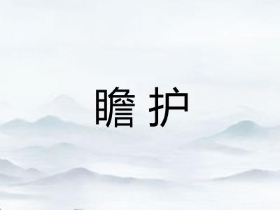 瞻护