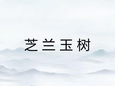 芝兰玉树 芝兰玉树