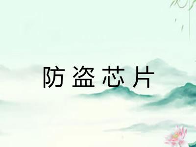 防盗芯片 防盗芯片