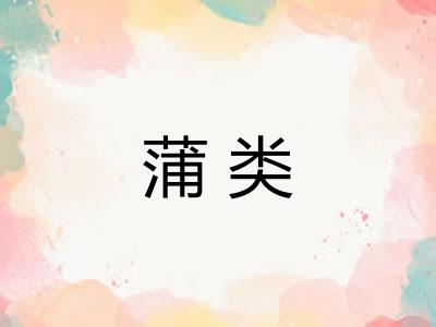 蒲类