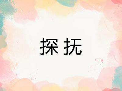 探抚