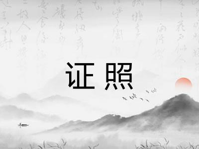 证照 证照