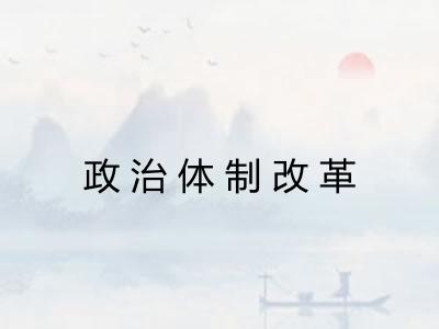 政治体制改革 政治体制改革