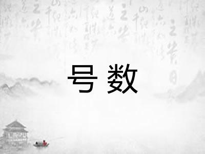 号数