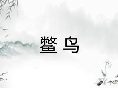 鳖鸟