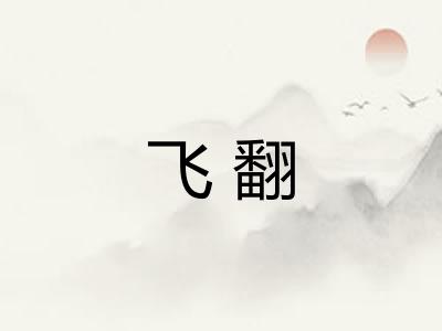 飞翻