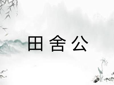 田舍公