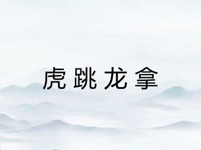 虎跳龙拿