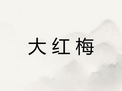 大红梅 大红梅