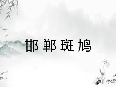 邯郸斑鸠 邯郸斑鸠