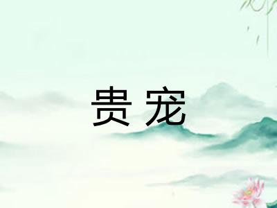 贵宠