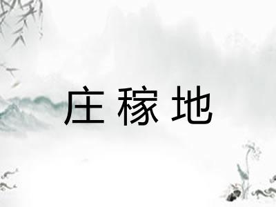 庄稼地