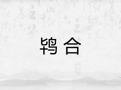 鸨合 鸨合