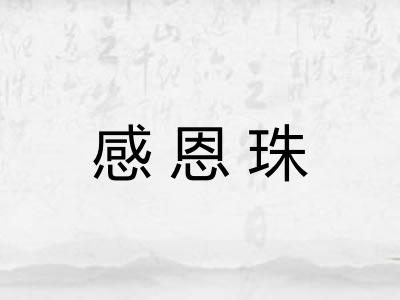 感恩珠 感恩珠