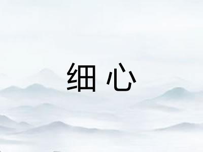 细心