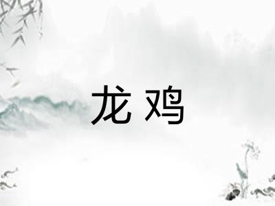 龙鸡
