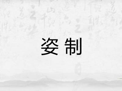姿制