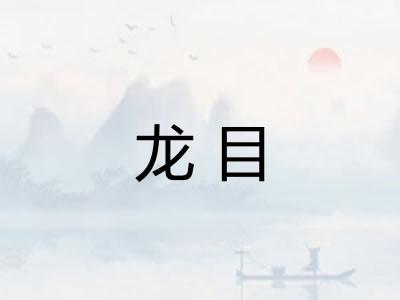 龙目