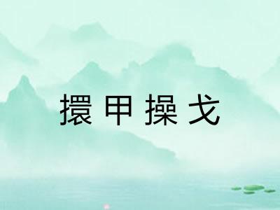 擐甲操戈 擐甲操戈