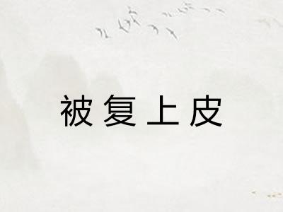 被复上皮 被复上皮