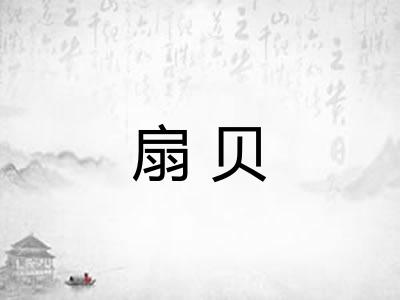 扇贝