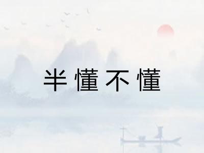 半懂不懂