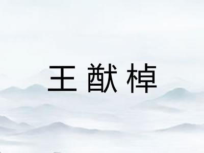 王猷棹