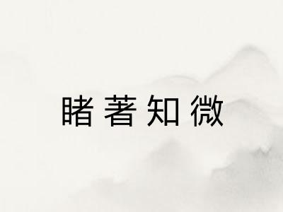 睹著知微 睹著知微