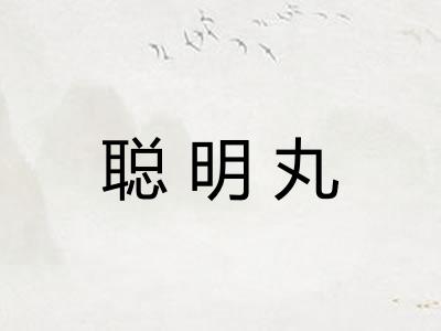 聪明丸