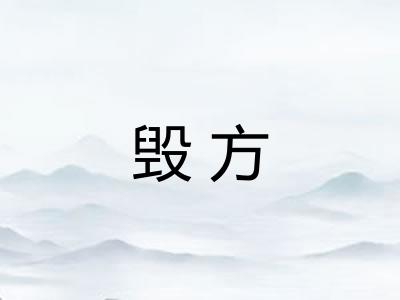毁方