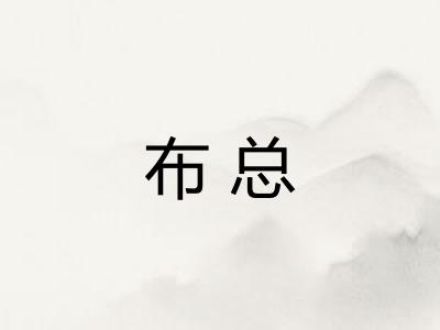 布总 布总