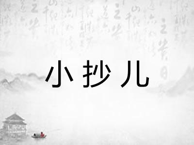 小抄儿