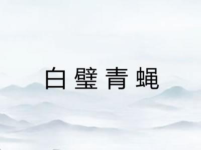 白璧青蝇