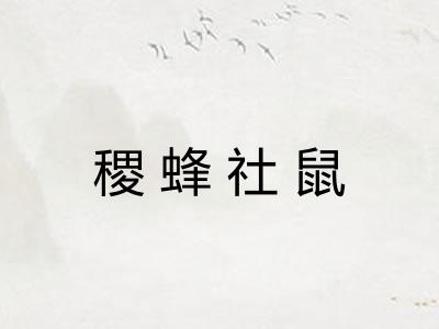 稷蜂社鼠