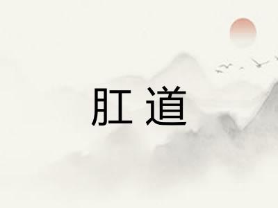肛道
