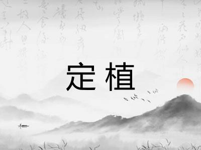 定植
