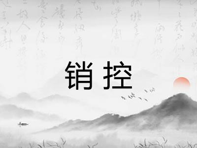 销控