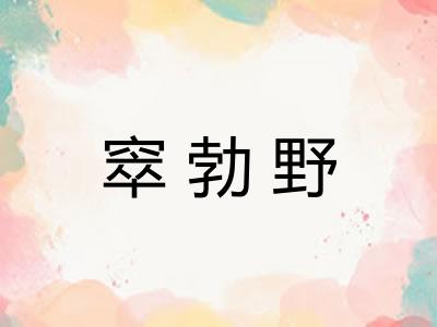 窣勃野