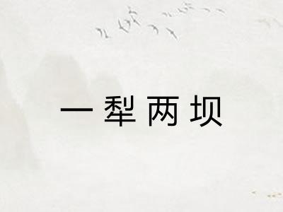一犁两坝