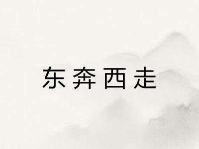 东奔西走