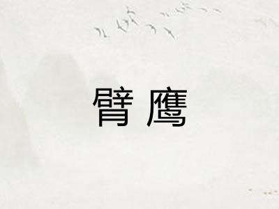 臂鹰