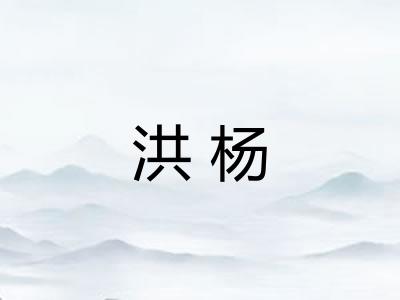 洪杨