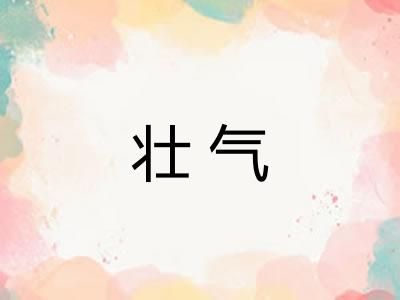 壮气