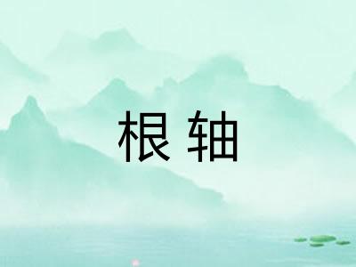 根轴 根轴