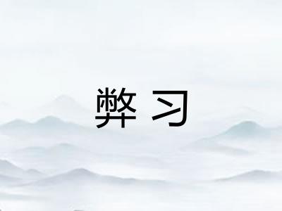 弊习