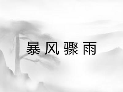 暴风骤雨 暴风骤雨