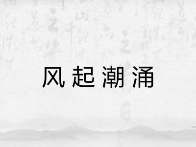 风起潮涌