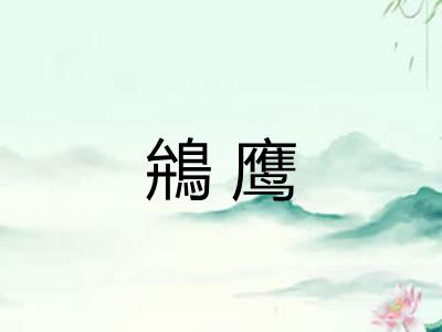鴘鹰