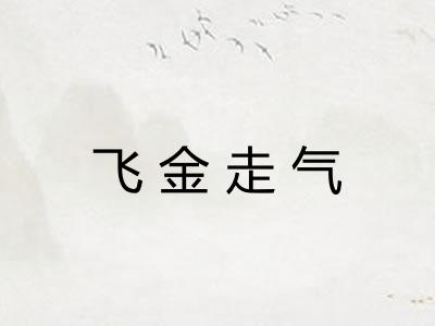 飞金走气 飞金走气
