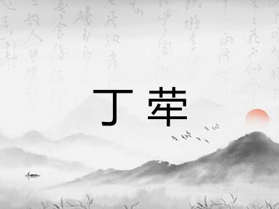丁荦